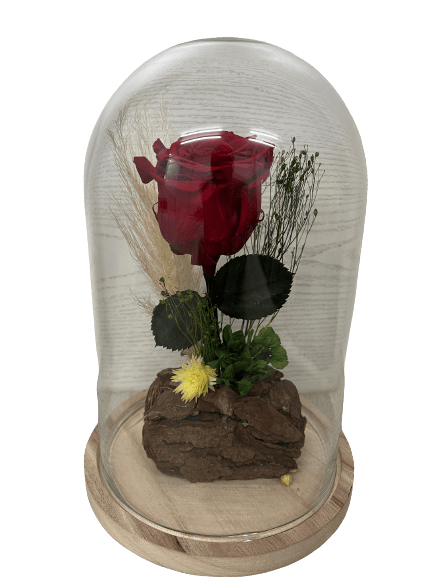 Cúpula de Cristal con Rosas Eternas Santander